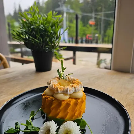 Safir Przy Samym Wyciagu 3* كارباش