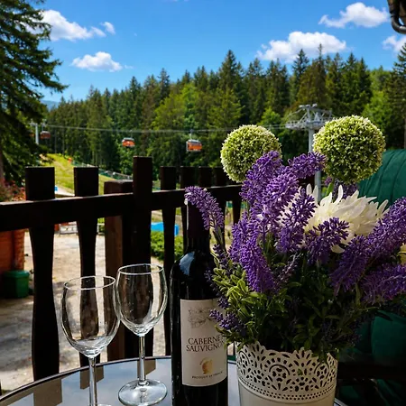 Safir Przy Samym Wyciagu Bed and Breakfast Karpacz