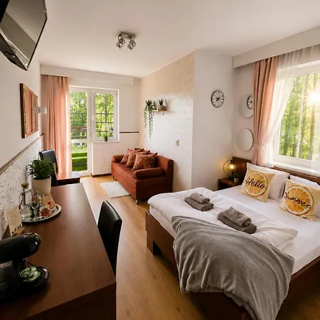 Bed and Breakfast Safir Przy Samym Wyciagu 3*