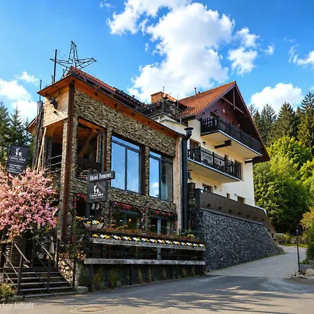 Safir Przy Samym Wyciagu