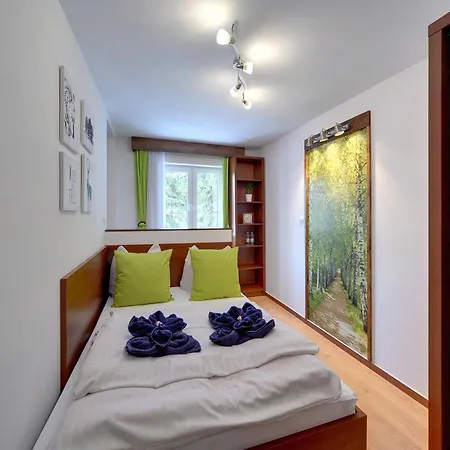 Bed and Breakfast Safir Przy Samym Wyciagu 3*
