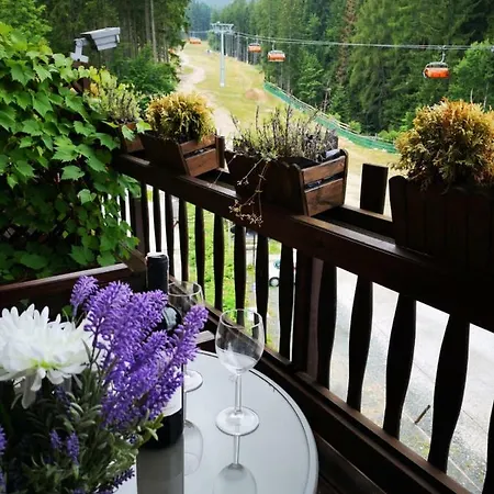 住宿加早餐酒店 Safir Przy Samym Wyciagu