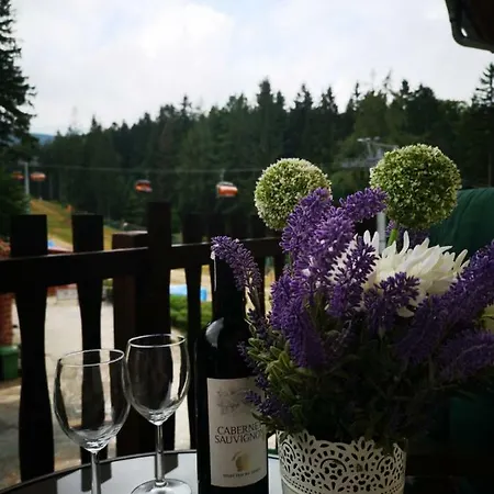 Safir Przy Samym Wyciagu 3* كارباش