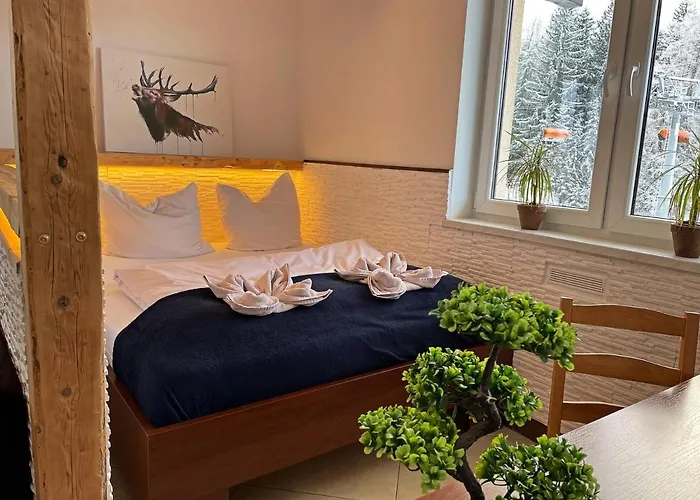 Safir Przy Samym Wyciagu Bed and Breakfast