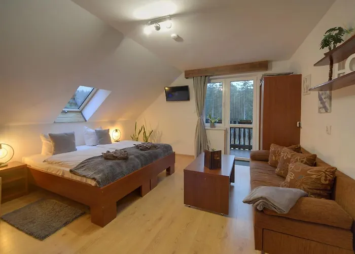 Safir Przy Samym Wyciagu 3* Karpacz