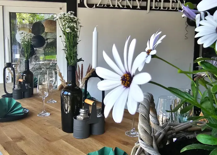 Bed and Breakfast Safir Przy Samym Wyciagu Karpacz