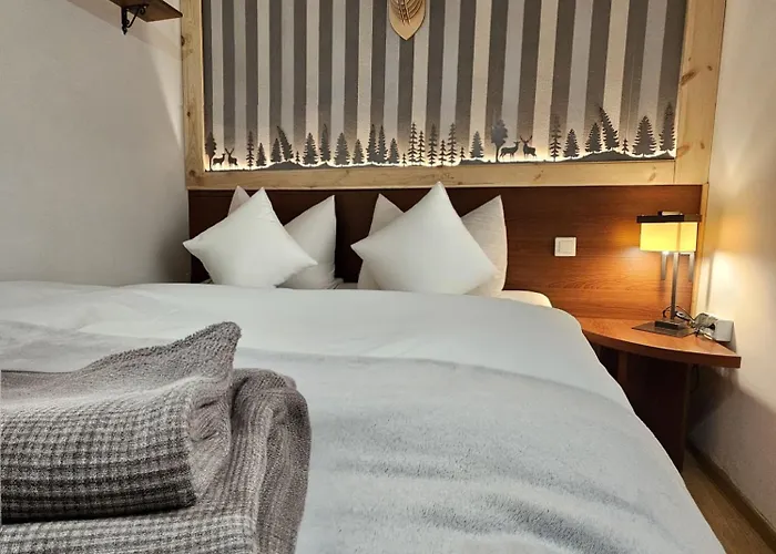 Safir Przy Samym Wyciagu Bed and Breakfast