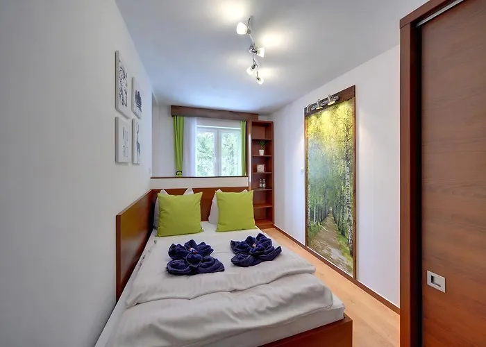 Bed and Breakfast Safir Przy Samym Wyciagu 3*