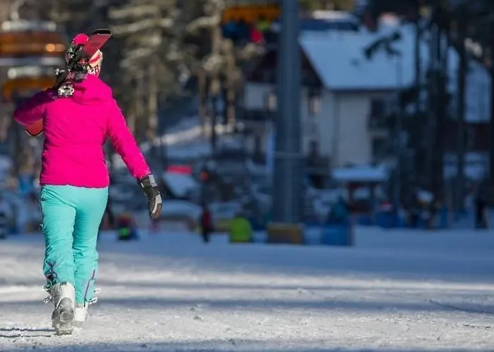 Safir Przy Samym Wyciagu Bed and Breakfast