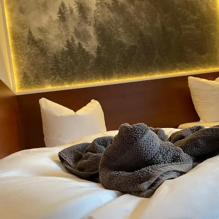 Safir Przy Samym Wyciagu Bed & Breakfast 3*