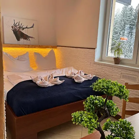 Safir Przy Samym Wyciagu Bed and Breakfast