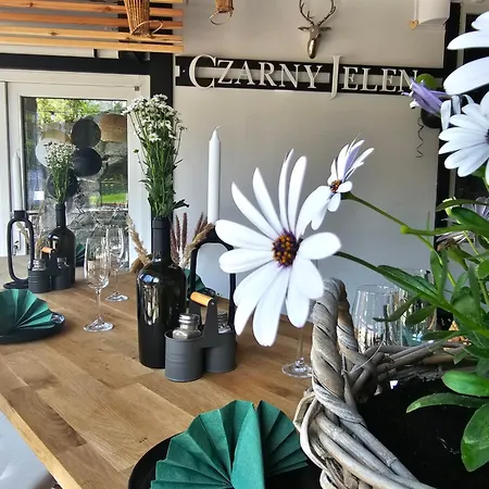 Bed and Breakfast Safir Przy Samym Wyciagu Karpacz