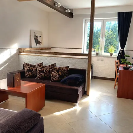Safir Przy Samym Wyciagu B&B 3*